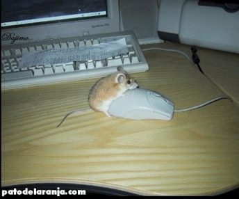 GIF image